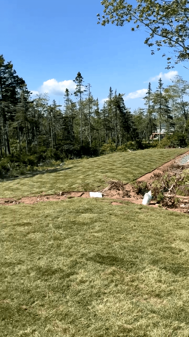 A wide, sloping green lawn meets a dense forest under a clear blue sky.